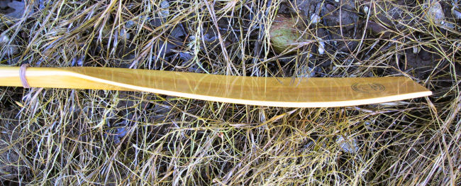 Side view of spooned paddle blade